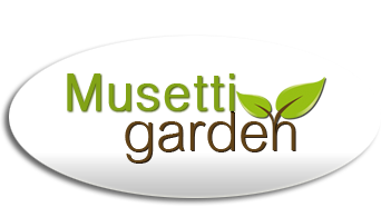 Musetti Garden - Lido di Camaiore