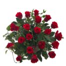 Bouquet assortito di rose rosse a gambo corto. 