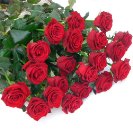 Mazzo di rose rosse a gambo lungo.